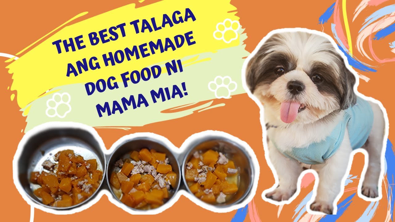 Best Dog Food! (Easy, Tipid, Healthy, & Homemade) / ft. My Furbabies / Vlog 007