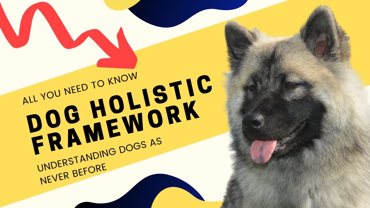 Dog Behavior Dog Care Holistic Framework