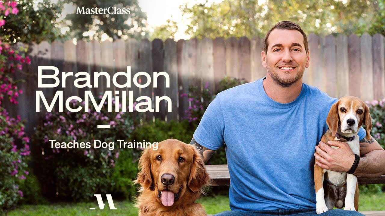 Brandon McMillan Teaches Dog Training | Official Trailer | MasterClass