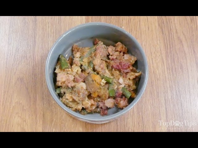 Homemade Dog Food for Digestive Disorders Recipe (Simple)