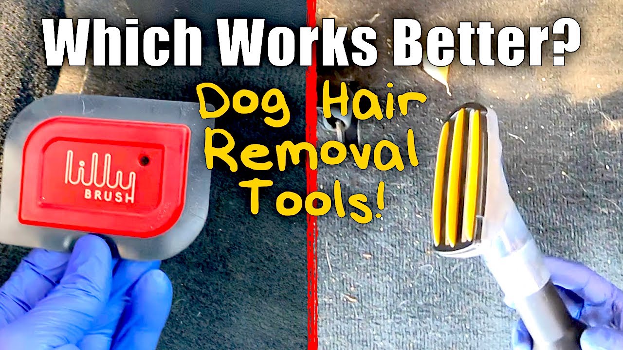 The BEST Dog Hair Removal Tools? Lily Brush or Cyclonic Pet Upholstery Tool? #doghair #Dogfur