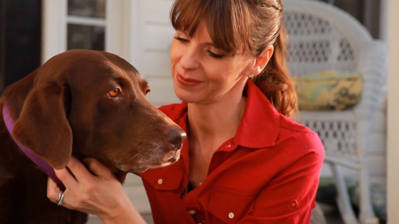 Dog Training With Positive Reinforcement | Teacher’s Pet With Victoria Stilwell