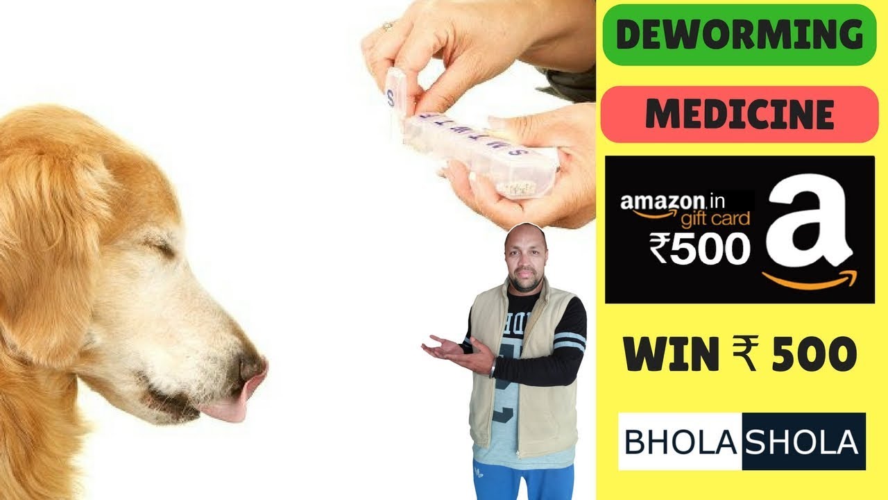 Pet Care – Deworming | Deworm | Dog | Puppy | Medicine – Bhola Shola | Harwinder Singh Grewal