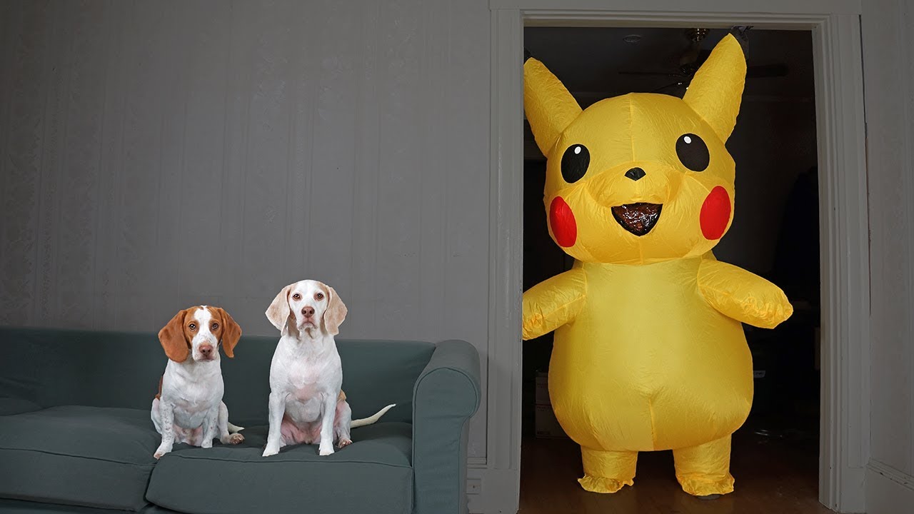 Dogs vs Pokemon Prank: Giant Pikachu Pranks Funny Dogs Maymo & Potpie