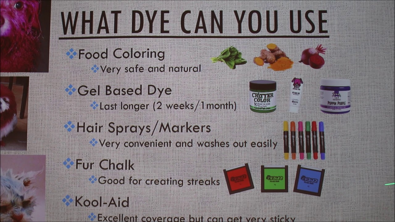 How to Dye Dog Hair (including health considerations)