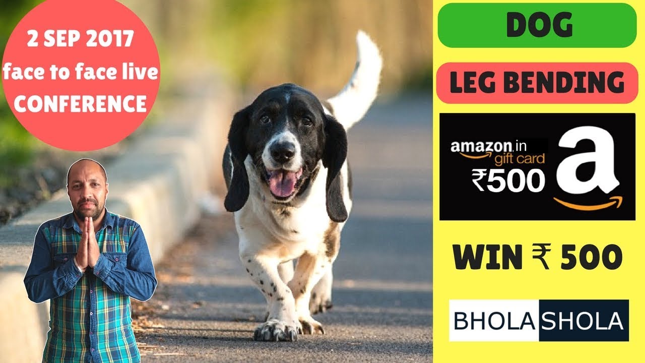 Pet Care –  Dog legs bends if we don’t provide suitable floor to our dog – Bhola Shola