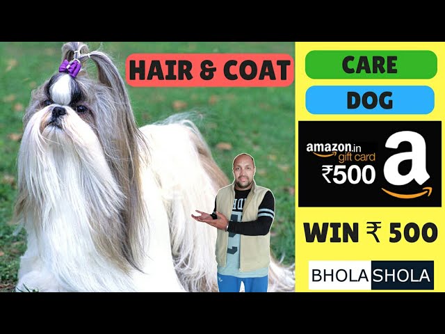 Pet Care – How to Care Dog | Puppy | long | Double Coat & Hair – Bhola Shola India