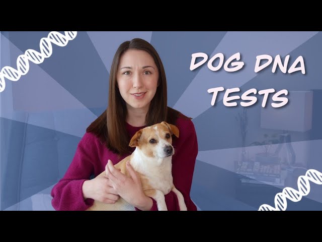 I Sent My Dog’s DNA To 3 Different Companies…