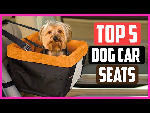 Top 5 Best Dog Car Seats In 2021 Reviews