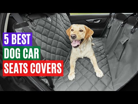 5 Best Dog Car Seats Covers on Amazon in 2021 | Very Good For Protecting The Seats