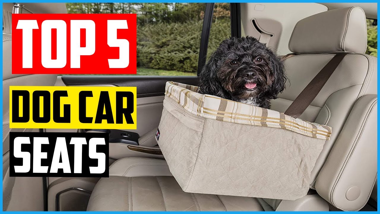 Top 5 Best Dog Car Seats in 2021