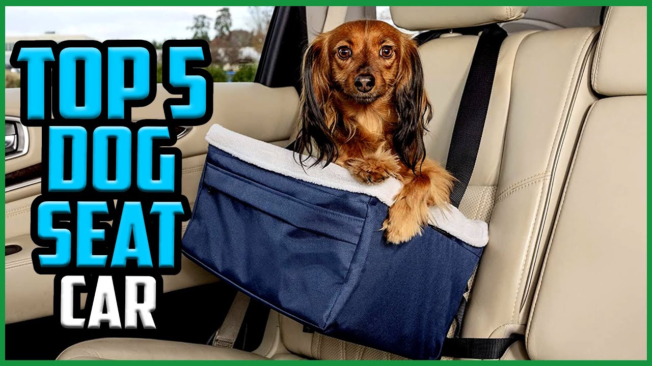 Top 5 Best Dog Car Seats in 2021 Reviews  [Buyer’s Guide]