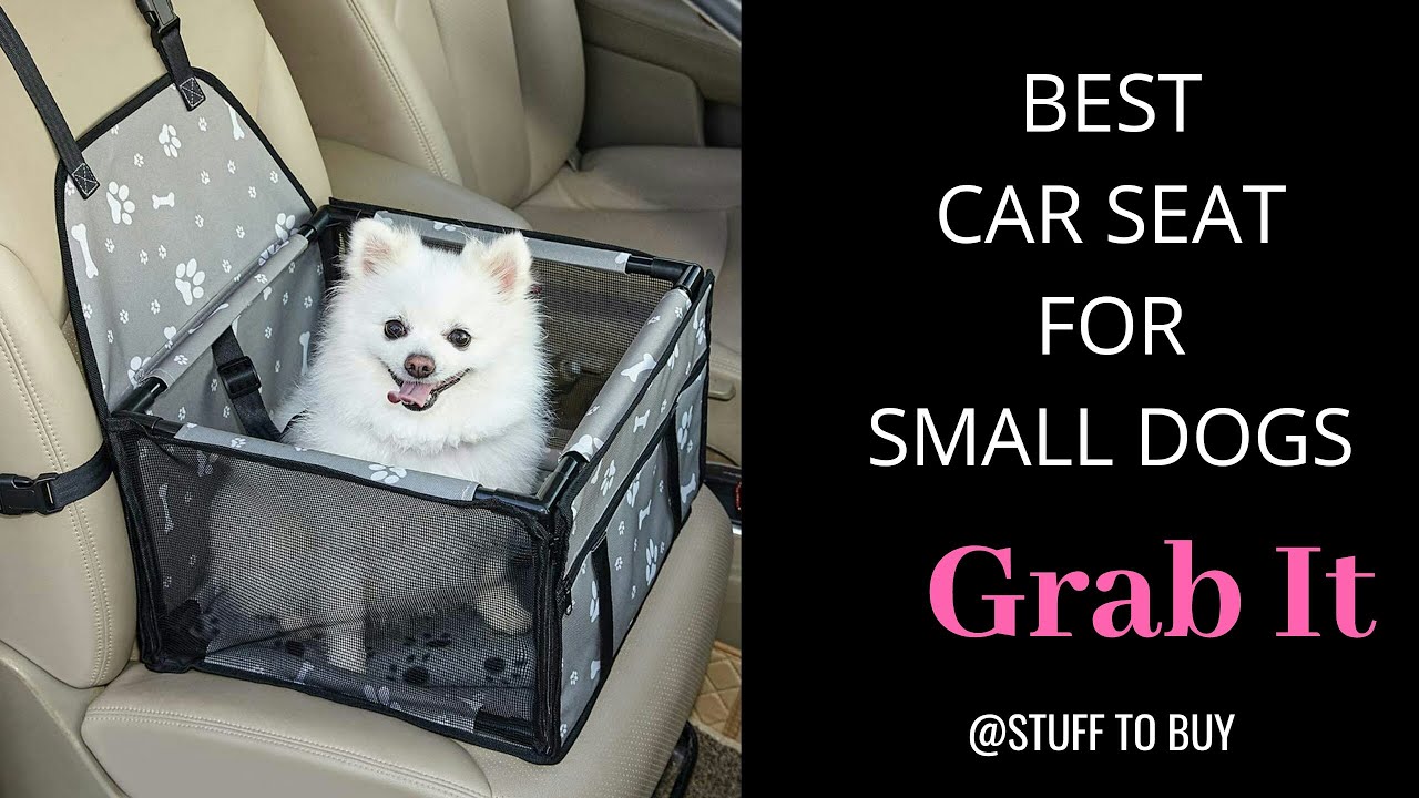 dog car seats for small dogs