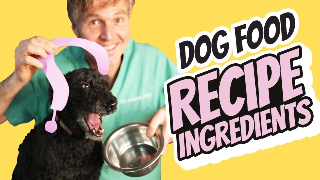 Essential Ingredients for Homemade Dog Food