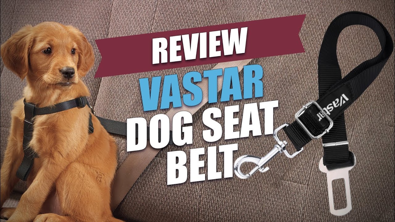 Vastar Dog Seat Belt Review