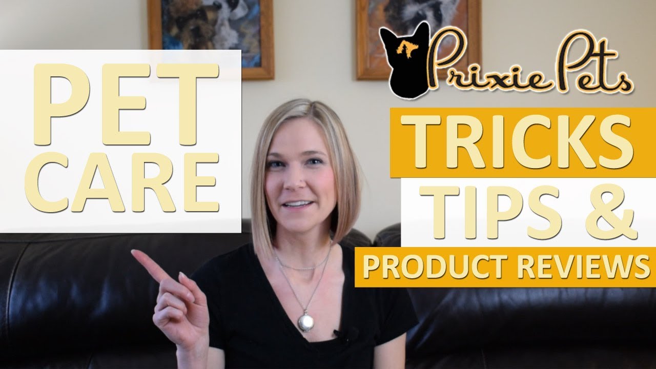 Pro Groomer Pet Care Tips & Product Reviews – PrixiePets