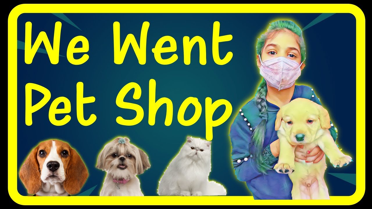 We Went Pet Shop and Met Cute Puppies | Family and Dog Vlogs | Harpreet SDC