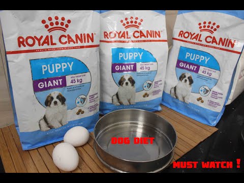 dog diet || royal canin dog diet || healthy dog diet ||