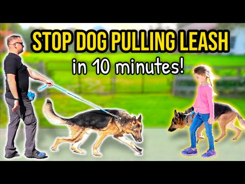 HOW TO STOP DOG PULLING ON LEASH – 10 minutes to “Perfect Walk” Guaranteed!