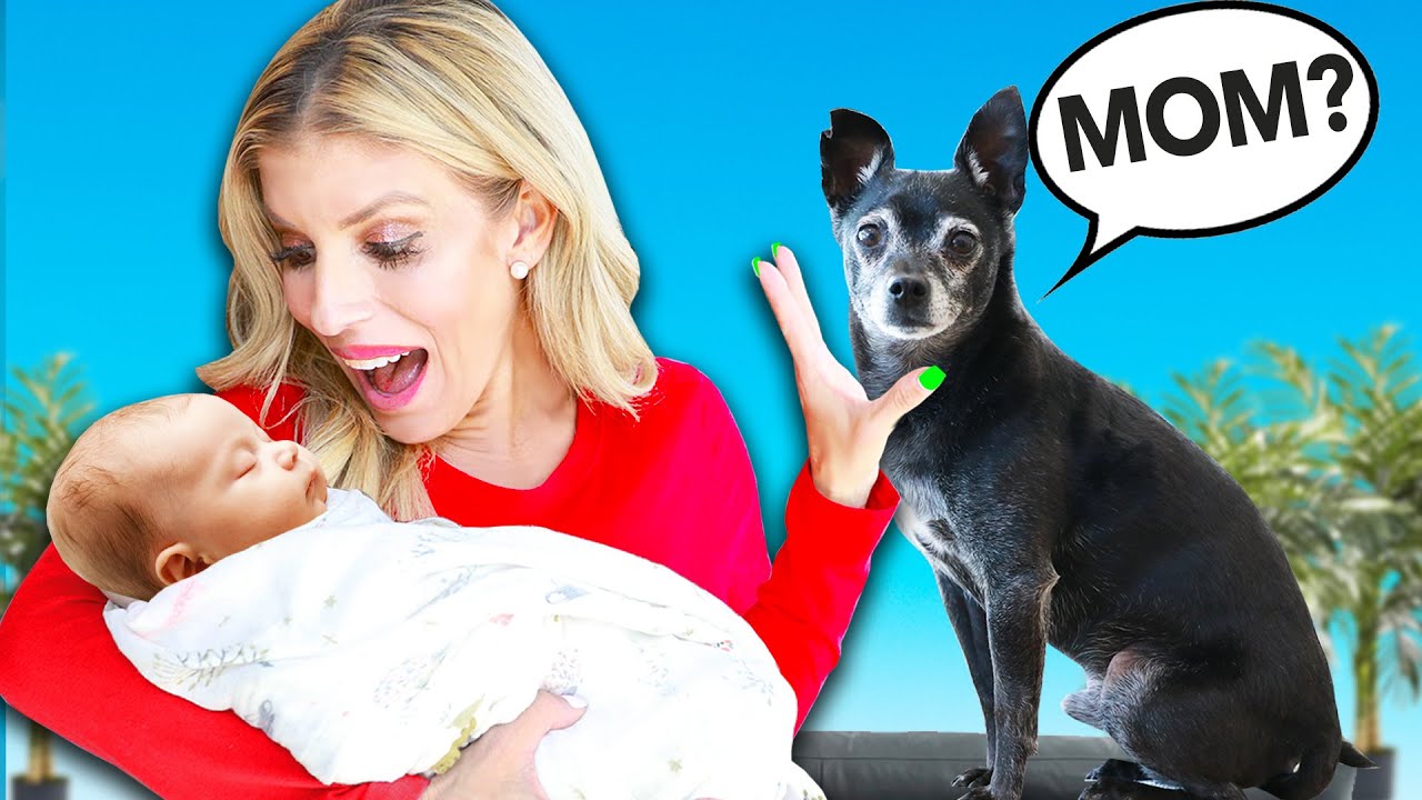 Ignoring Our Dog with BABY to See How They React