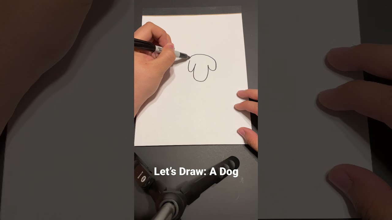 Let’s Draw: A Dog | Ep. 2 #shorts #artwork #memes #humor #dogdrawing #lefthanded