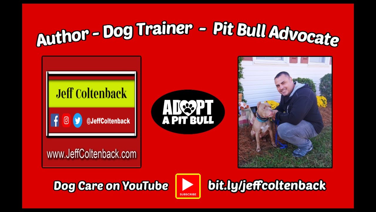 Dog Training, Dog Care, Dog Health, Dog Rescue; Welcome to my Channel!