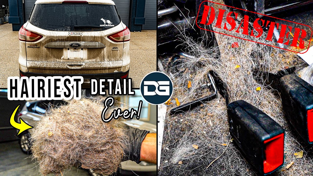 Deep Cleaning The HAIRIEST Vehicle I’ve Ever Seen! | Insane DISASTER Detail and Pet Hair Removal!