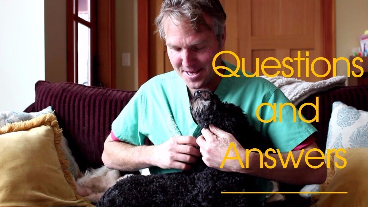 Dog and Cat Health Questions and Answers