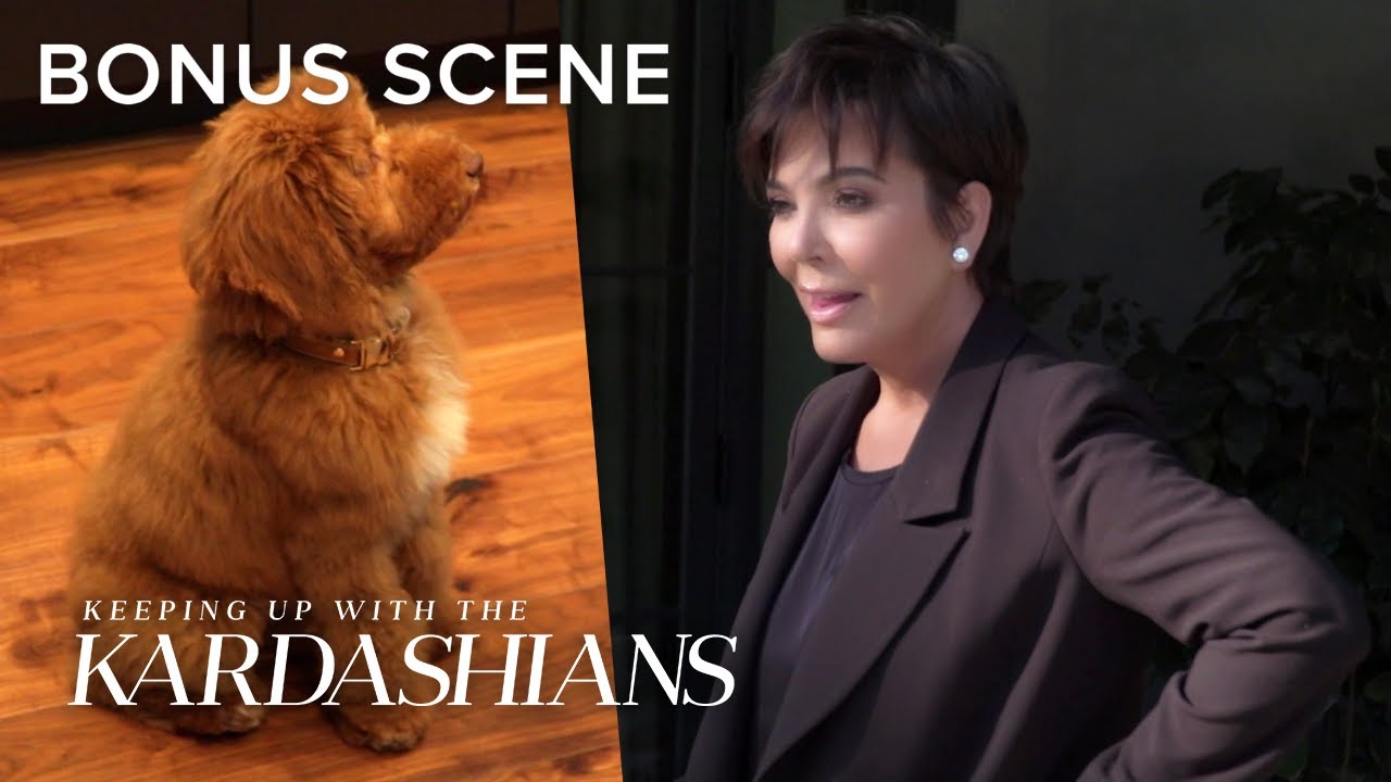 Celebrity Dog Training With Kris Jenner & Corey Gamble | KUWTK Bonus Scene | E!