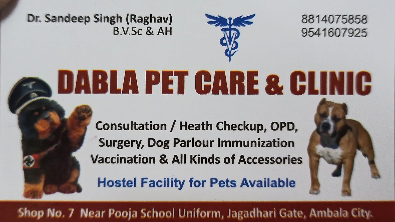 24 hours open pet care clinic || Dog clinic || Dog clinic in ambala