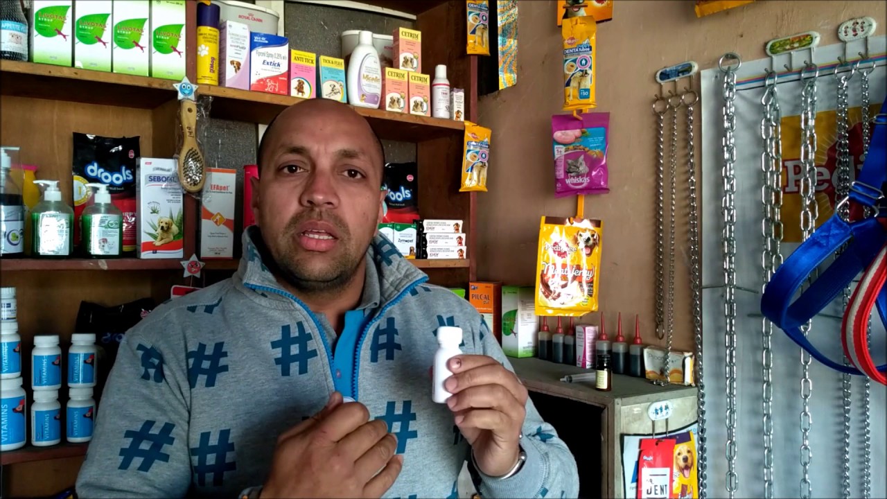 Pet Care – Deworming | Deworm | New Born Puppy | Dog – Bhola Shola | Harwinder Singh Grewal