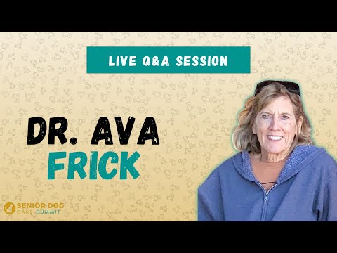 Day 3 Live Q&A with Dr Ava Frick for the Senior Dog Care Summit