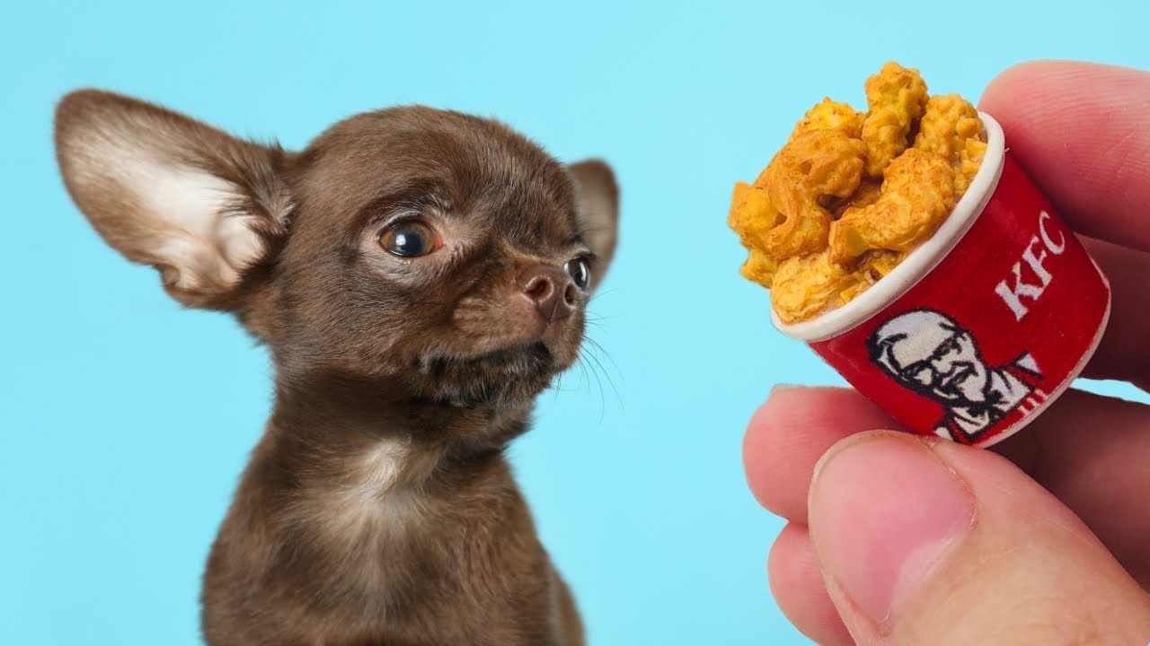 Making Tiny Foods for a Tiny Rescue Dog