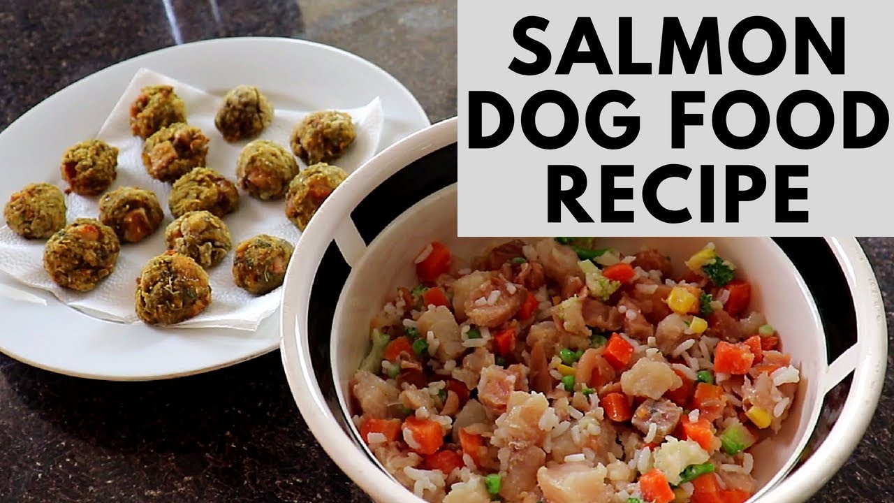 Salmon Dog Food and Treats Recipes – Easy and Healthy