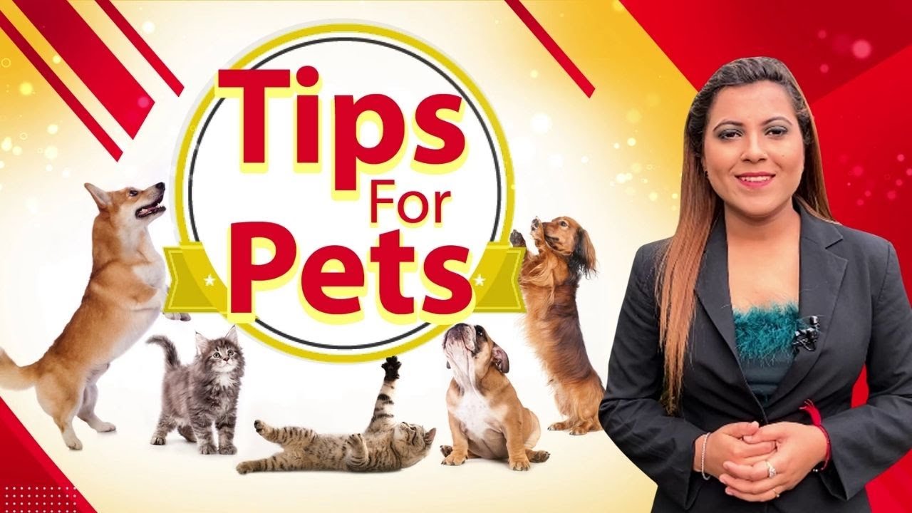 Tips For Pets: हर Dog Breed को चाहिए अलग Care  | Dog Care Tips