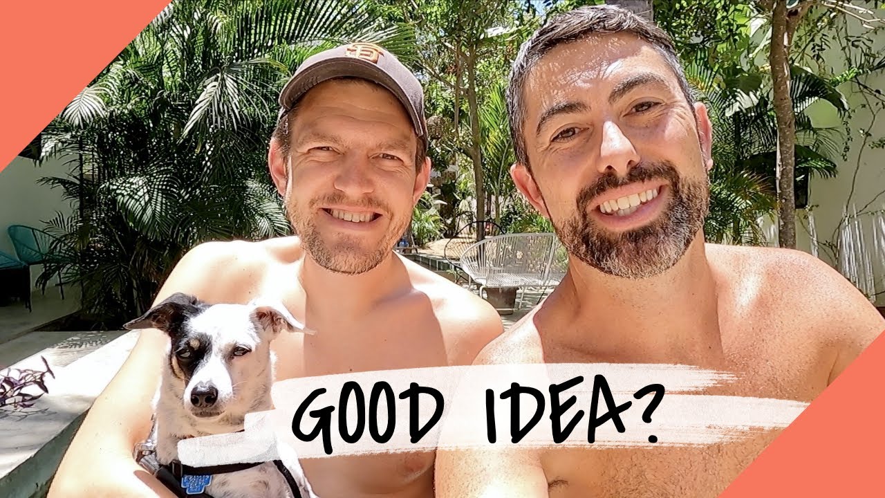 MEXICO PET TRAVEL BY AIR – Can I Bring My Dog to Mexico?