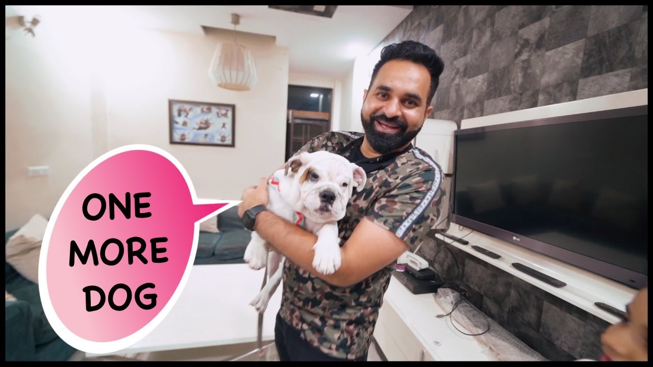 Welcome one more *DOG* in Our House  | Harpreet SDC