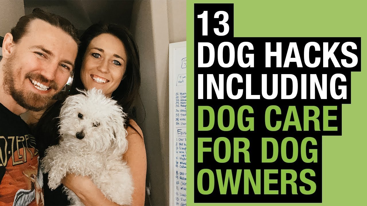 Dog Owners – 13 Dog Hacks + Pet Care Tips [Dog Training & Dog Care]