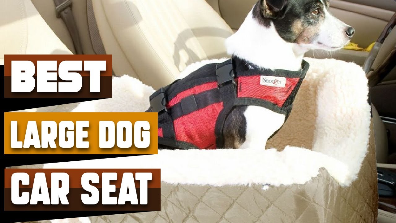 Best Large Dog Car Seats In 2022 – Top 10 Large Dog Car Seats Review